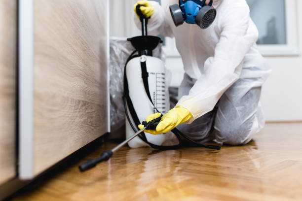 Best Affordable Pest Control Services  in Gibbon, NE