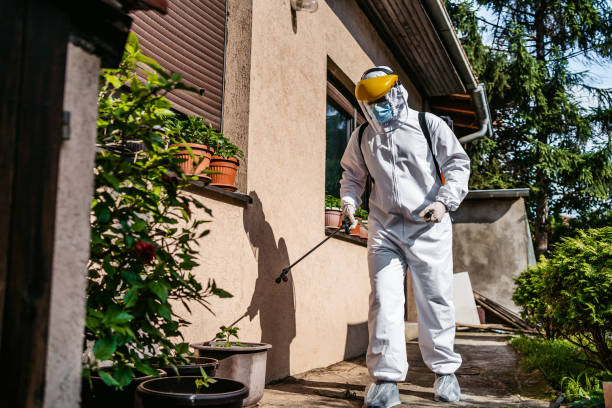 Best Mosquito Control Services  in Gibbon, NE