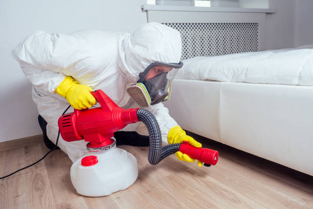 Best Affordable Pest Control Services  in Gibbon, NE