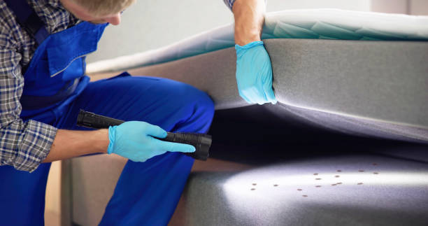 Best Pest Removal Services  in Gibbon, NE