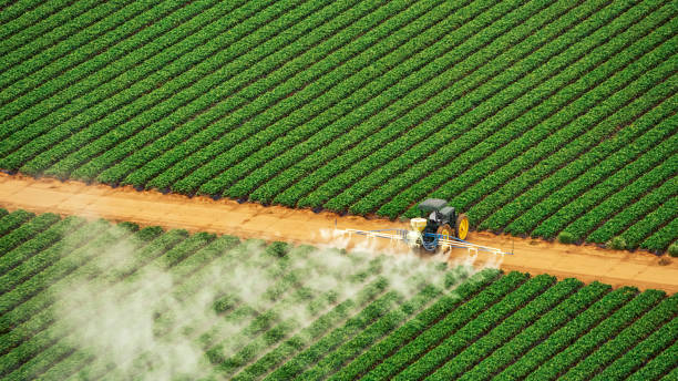 Best Pest Inspection Near Me  in Gibbon, NE