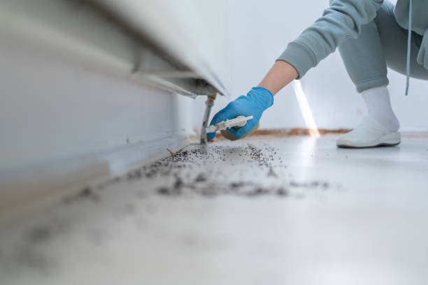 Best Bed Bug Extermination  in Gibbon, NE